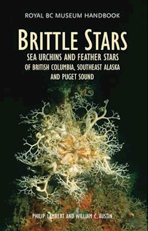 Brittle Stars, Sea Urchins & Feather Stars