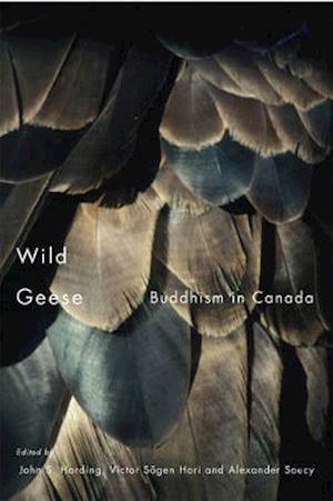 Wild Geese