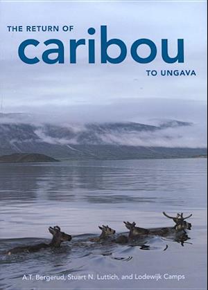 The Return of Caribou to Ungava