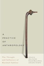 A Practice of Anthropology