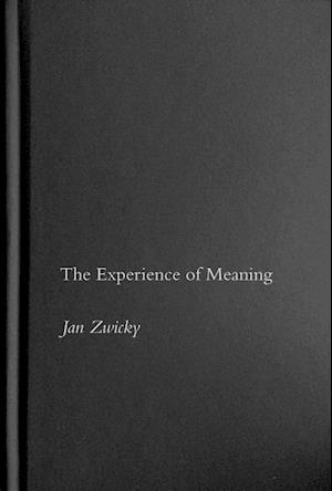 The Experience of Meaning