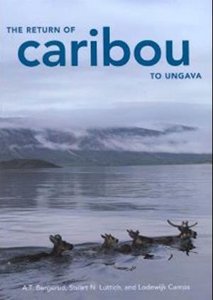 Return of Caribou to Ungava