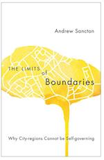 Limits of Boundaries