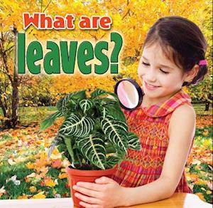 What Are Leaves?