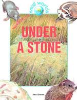 Under a Stone