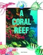 A Coral Reef