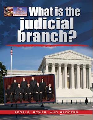 What Is the Judicial Branch?