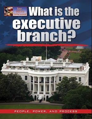 What Is the Executive Branch?