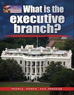 What Is the Executive Branch?