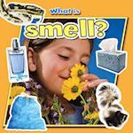 What Is Smell?