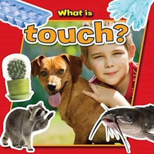 What is Touch?