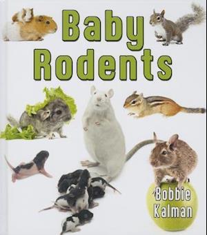 Baby Rodents