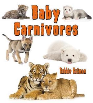 Baby Carnivores