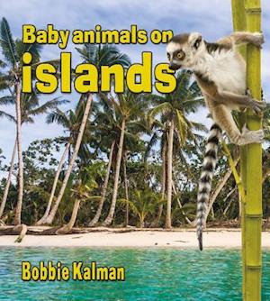 Baby Animals on Islands