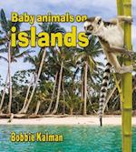 Baby Animals on Islands