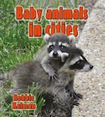 Baby Animals in Cities