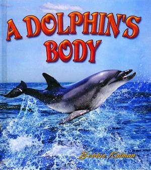 A Dolphin's Body