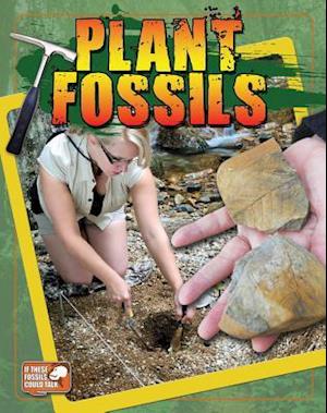 Plant Fossils