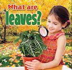 What Are Leaves?