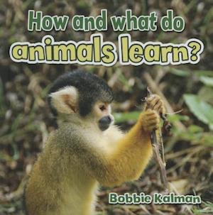 How and What Do Animals Learn?