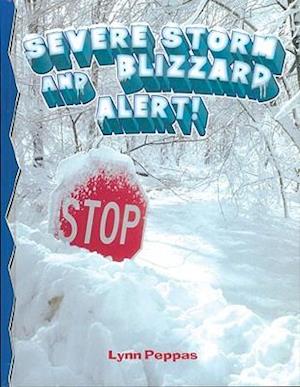 Severe Storm Blizzard Alert