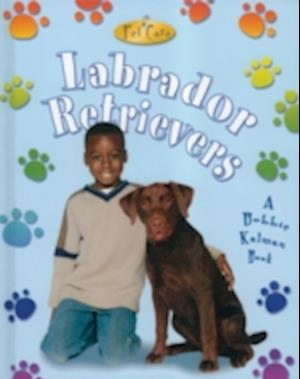 Labrador Retrievers