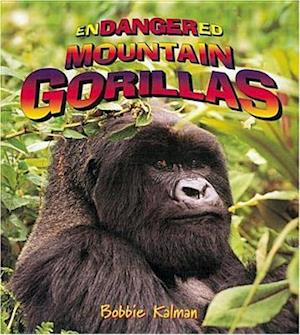 Endangered Mountain Gorillas