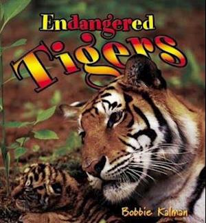 Endangered Tigers