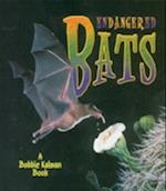 Endangered Bats