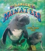 Endangered Manatees