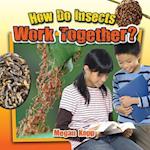 How Do Insects Work Together?
