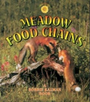 Meadow Food Chains