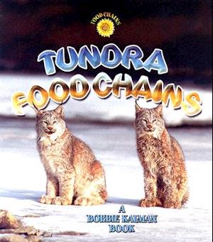 Tundra Food Chains