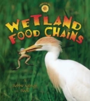 Wetland Food Chains