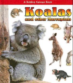 Koalas and other Marsupials