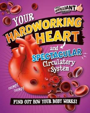 Your Hardworking Heart and Spectacular Circulatory System