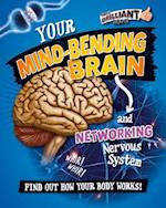 Your Mind-Bending Brain and Networking Nervous System