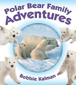 Polar Bear Family Adventures