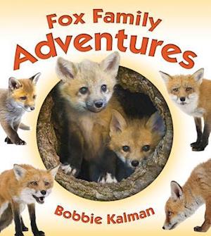 Fox Family Adventures