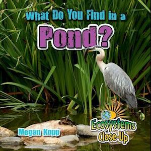 What Do You Find in a Pond?