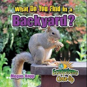 What Do You Find in a Backyard?