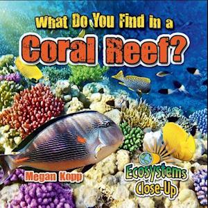 What Do You Find in a Coral Reef?