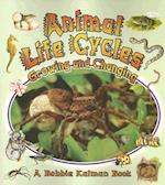 Animal Life Cycles