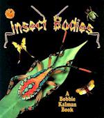 Insect Bodies