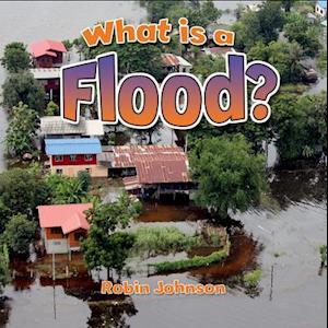 What Is a Flood?