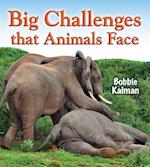 Big Challenges That Animals Face