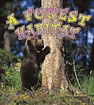 A Forest Habitat