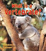 What Is a Vertebrate?