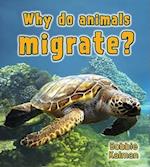 Why Do Animals Migrate?