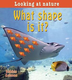 What Shape Is It?